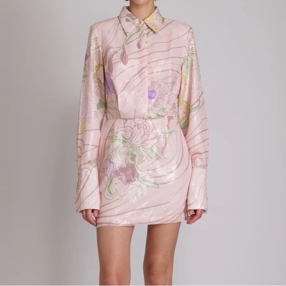 Sabina Musayev Dresses & Skirts - Sabina Musayev NWT Abbey Long Sleeve Floral Shimmer Mini Dress Blush Print XS